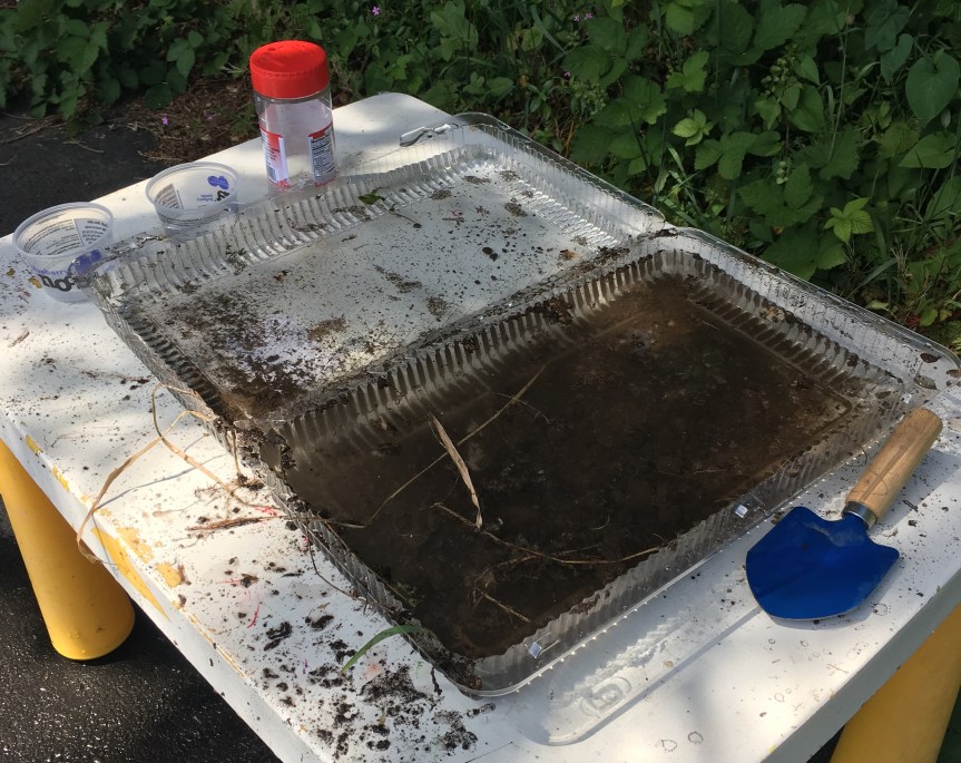 Letting Go: DIY Quarantine Water&nbsp;Table